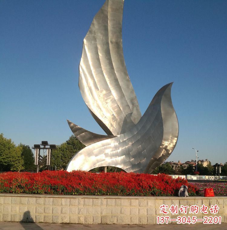 宁夏“鸽子之恋”——让爱飞翔