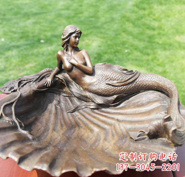 宁夏新颖贝壳美丽的艺术之旅