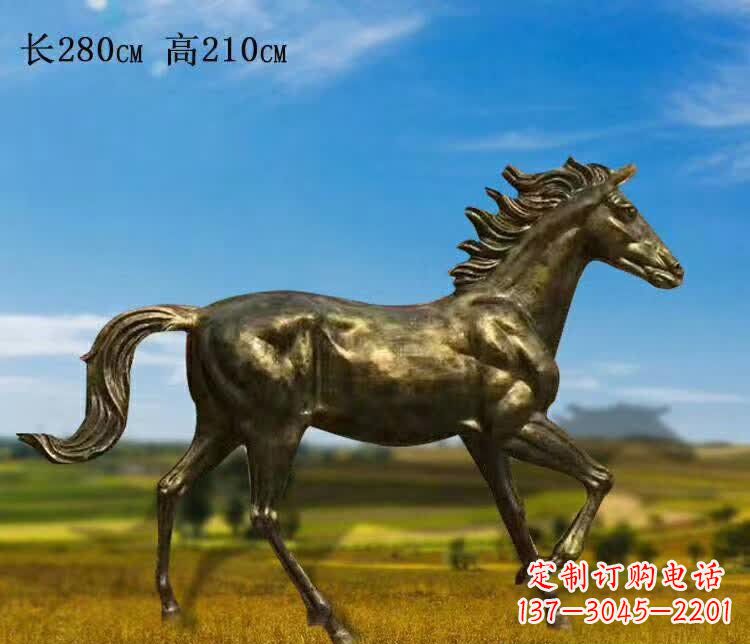 宁夏新马之精髓
