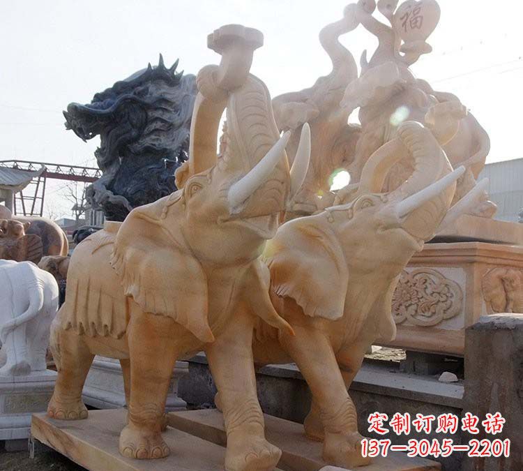 宁夏大象雕刻时光