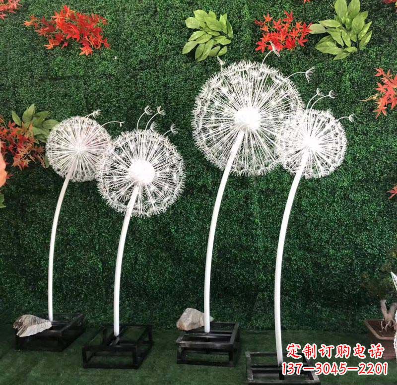宁夏不锈钢蒲公英——折射着自然之美