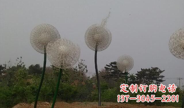 宁夏蒲公英的绚丽多彩