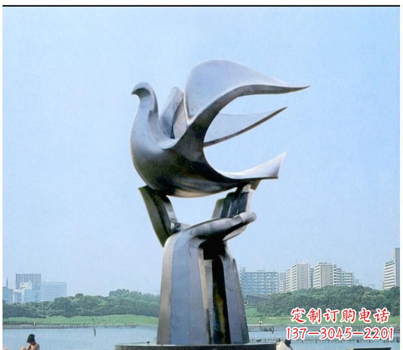 宁夏静谧之鸽,传递和平象征~