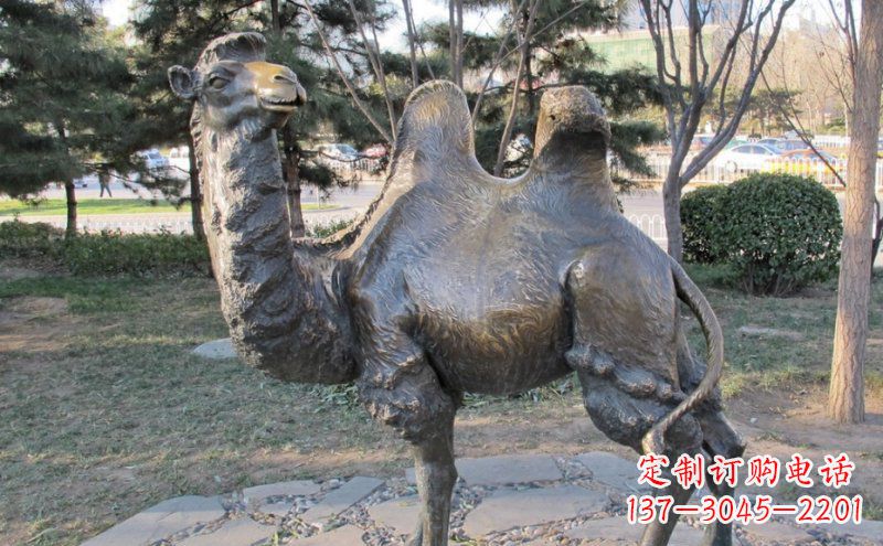宁夏铜骆驼雕塑——浓缩自然美丽