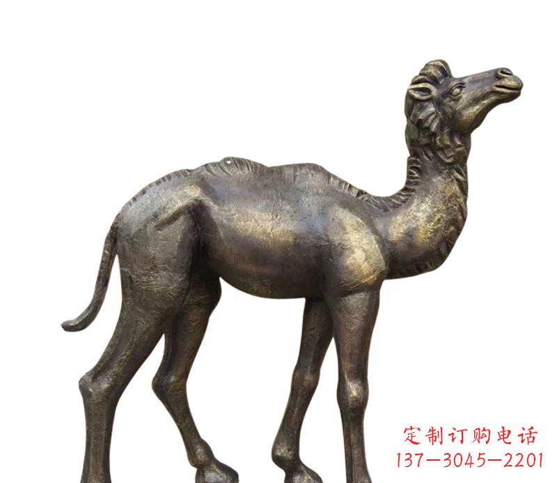 宁夏奇美洁净的骆驼铜雕