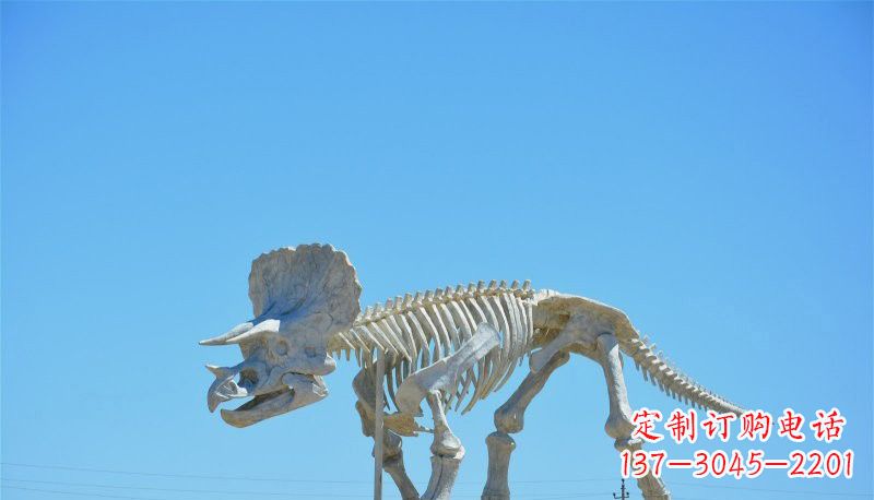 宁夏景区玻璃钢恐龙化石