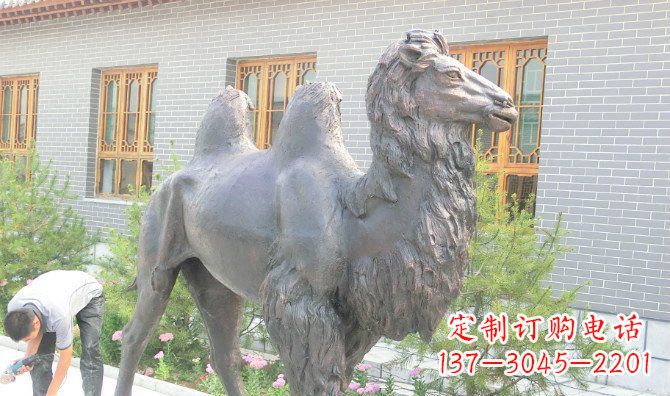 宁夏精美的骆驼铜雕,提升您的公园气质