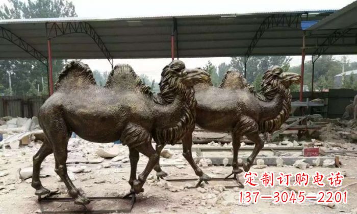 宁夏典雅优美的骆驼铜雕