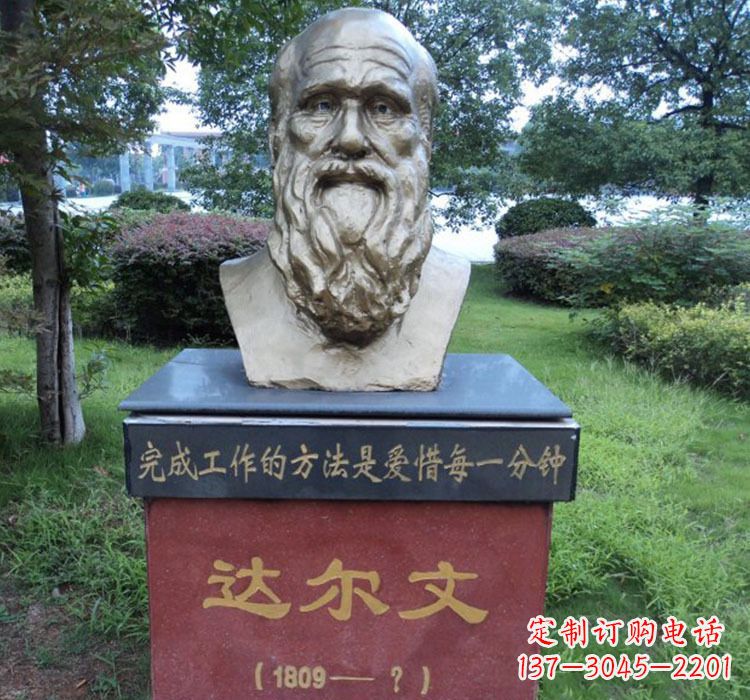 宁夏铜雕达尔文头像雕塑