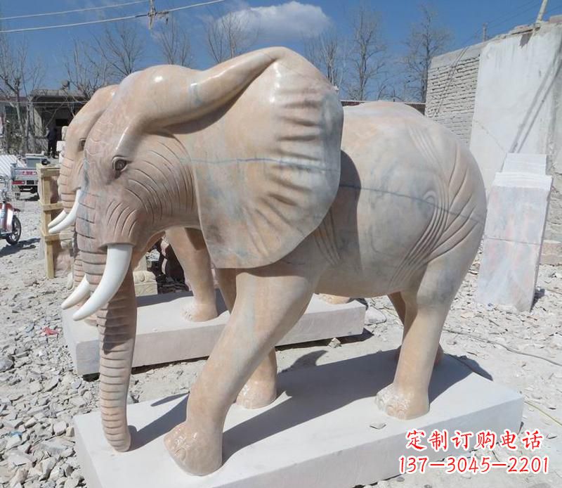 宁夏晚霞红卷鼻大象